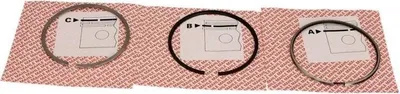 Immagine prodotto di Fasce Elastiche Vw Transporter 00-