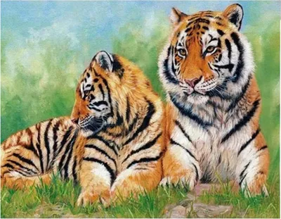 Obrázek produktu pro Vikpap W2574 - malování podle čísel, plátno 40 × 30 cm - Tygří rodina