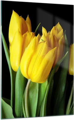 Produktbild von Bilder auf glas - Einteilig - Tulpen Strauß Spiegelreflexion grün - 70x100cm - Glasbilder - Wandbilder - Bilder - Wanddekoration aus Glas - Glas Bilder - Wandbild auf Glas - GPA70x100-0509