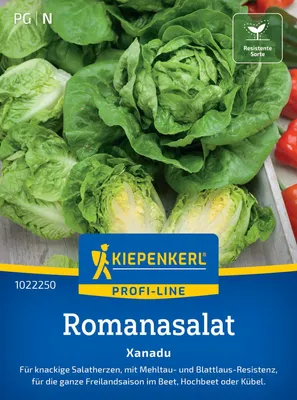 Produktbild von Kiepenkerl Romanasalatsamen Xanadu Lactuca sativa 120 Pflanzen