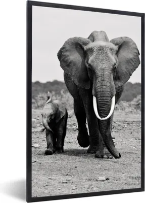 Produktbild von MuchoWow® MuchoWow® Gerahmtes Poster Elefant - Kind - Schwarz - Weiß 40x60 cm - Poster mit zchwarzem Bilderrahmen - Papierdruck - Wandbilder