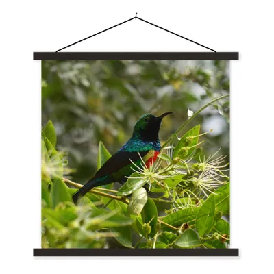 Produktbild von MuchoWow® Textilposter Vogel zwischen den Blättern im Dschungel 90x90 cm mit schwarzem Rahmen - Magnetisches