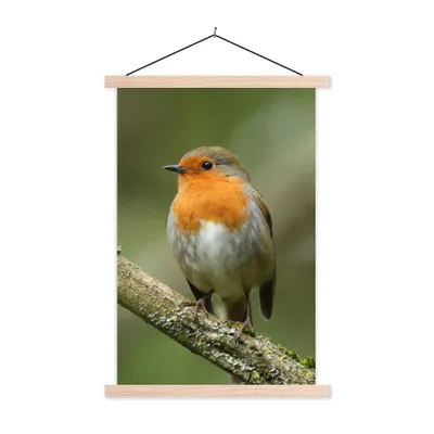 Produktbild von MuchoWow® Textilposter Vogel - Rotkehlchen - Zweig - Pflanzen 40x60 cm mit holzfarbenen Rahmen - Poster