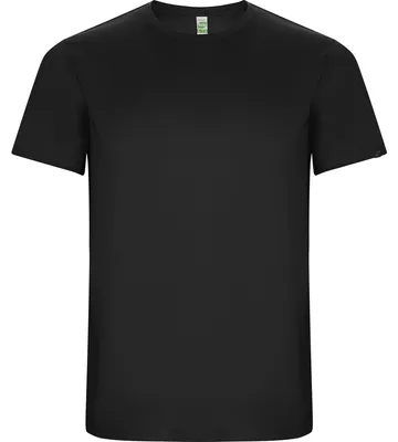 Image de Roly Eco - T-shirt « Imola » pour homme LT3663 (L) (gris foncé)