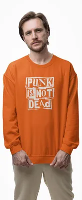 Produktbild von D&B Design Uni Pullover SWZN00004 Punk Orange-Größe XL