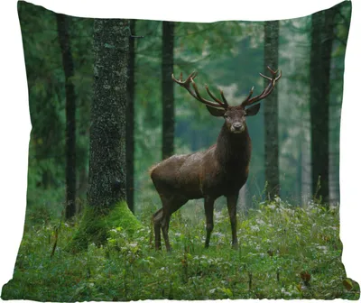 Produktbild von MuchoWow® Outdoor Kissen - Hirsche - Wald - Bäume - Tiere - Natur - 45x45 cm - Wetterfest - Lounge Kissen - Fotokissen - Dekoratives Kissen