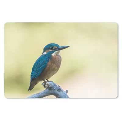 Produktbild von MuchoWow® Mauspad Mousepad Eisvogel - Zweig - Vogel 27x18 cm - Mousepads - Maus Mat - Pad - Mausunterlage - Büroartikel - Desk Matten