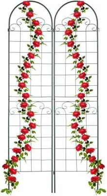 Produktbild von Rankgitter 220 cm 2er Set grün