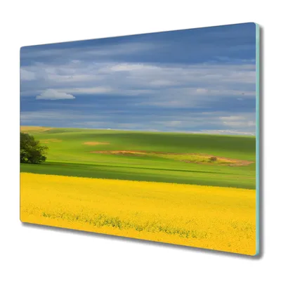 Produktbild von Coloray Herdabdeckplatte 60x52 cm Schneidebrett Kochplattenabdeckung Küchenbrett Hackbrett - Blumen Hügel Himmel