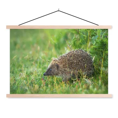 Produktbild von MuchoWow® Textilposter Igel steht im Gras 120x80 cm mit holzfarbenen Rahmen - Aufhängeset
