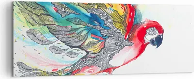 Produktbild von Bild auf Leinwand - Leinwandbild - Parrot Flügel Federn Natur - 140x50cm - Wand Bild - Wanddeko - Leinwanddruck - Bilder - Kunstdruck - Wanddekoration - Leinwand bilder - Wandkunst - AB140x50-3008