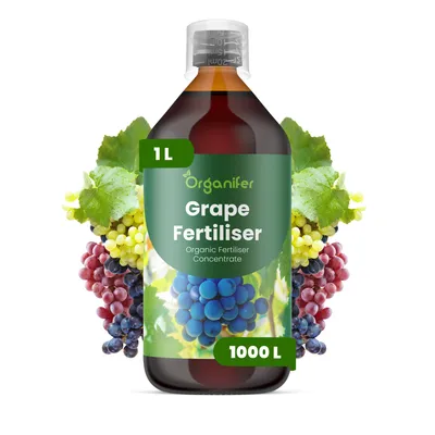 Obrázok produktu pre Hrozno – Tekuté hnojivo 1 L – NPK 2-1-8 – Pre vinič – Podporuje silný rast révy, zdravé listy a tvorbu plodov – Organický produkt