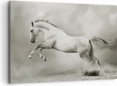 Produktbild von Bild auf Leinwand - Leinwandbild - Pferd Tier - 100x70cm - Wand Bild - Wanddeko - Wandbilder - Leinwanddruck - Bilder - Kunstdruck - Wanddekoration - Leinwand bilder - Wandkunst - AA100x70-3542