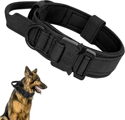 Produktbild von Verstellbare Taktische Hundehalsband, Militär Nylon, Metallverschluss, für mittelgroße und große Hunde (L