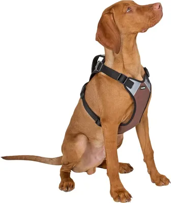 Produktbild von Hundegeschirr Pulsive, braun, 62-85cm, 72-96cm