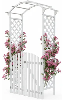 Image de Mucola Arche de roses avec portail Pergola Arche de treillis Spalier bois Treillis Pergola Colonne de roses Arche de jardin - Blanc