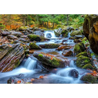 Image de ENJOY Puzzle Rivière de forêt en automne 1000 pièces
