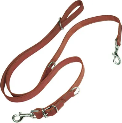 Produktbild von Hundeleine Gloria Oasis Mehrere 2.1 x 200 cm Rot