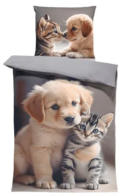Produktbild von Bettwäsche 135x200 cm Hunde Katzen Welpen grau Biber Winter Flanell Baumwolle