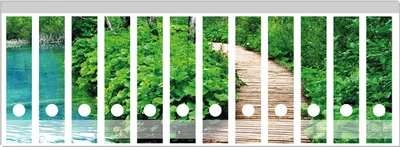Produktbild von Wallario Ordnerrücken Sticker, selbstklebend für breite Ordner, 12 Stück, Motiv Holzweg im Wald