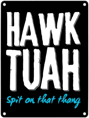 Produktbild von Hawk Tuah Metallschild in 15x20 cm mit Spruch Spit on that thang