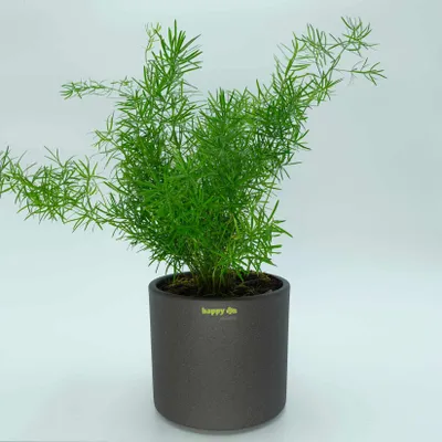 Produktbild von Keramik Blumentopf Madeira Zylinder grau struktur Ø 8 cm H 7,5 cm happy nature