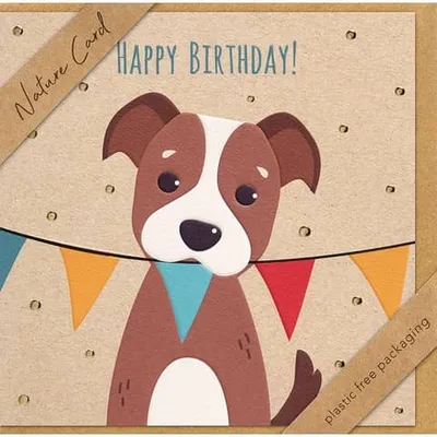 Produktbild von Geburtstag - Nature Cards - unverpackt - Glückwunschkarte im Format