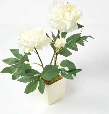 Immagine prodotto di HOMESCAPES fiori artificiali peonia in vaso bianco, crema