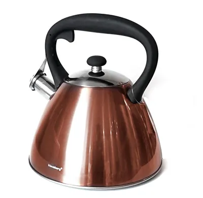 Image de Klausberg BOUILLOIRE EN ACIER 3,0L KB7209