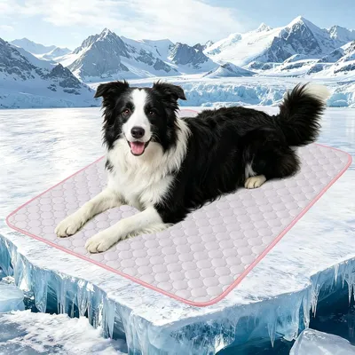 Imagen del producto de Alfombrilla refrigerante para perros, autoadhesiva, lavable, de 60x45 cm, ideal para sofás y camas para perros