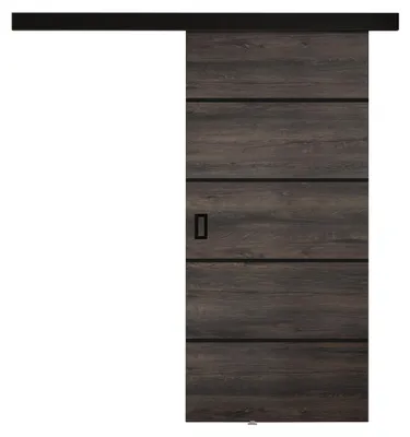 Produktbild von MIRJAN24 Schwebetür Werdi Plus, Stilvoll Zimmertür, Wohnzimmer, Praktisch (Größe: 100 cm, Farbe: Dunkel Esche)