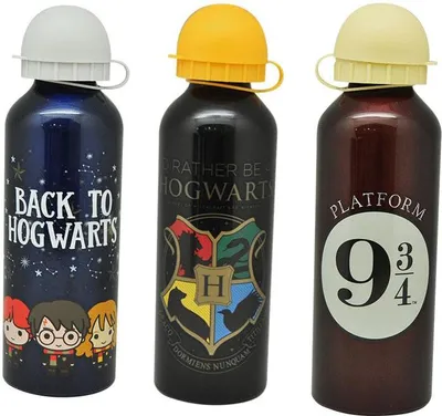 Immagine prodotto di Bambini Euroswan | Borraccia in alluminio Harry Potter - 500ml - Ideale per la scuola - Prodotto su licenza