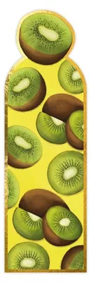Zdjęcie produktu dla Zakładka magnetyczna do książki Owoce kiwi