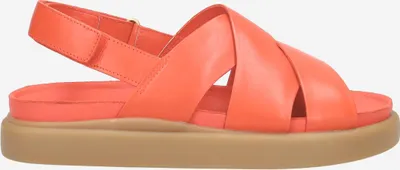 Produktbild von Clarks Aristella Sun 26181256 4, Sandaletten in Rot für Damen, Größe 37,5