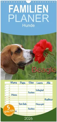 Produktbild von Familienplaner 2026 - Beagle mit 5 Spalten (Wandkalender, 21 x 45 cm) CALVENDO