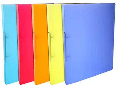 Zdjęcie produktu dla Segregator ringowy A4 Linicolor 2 ringowy mechanizm 20 mm