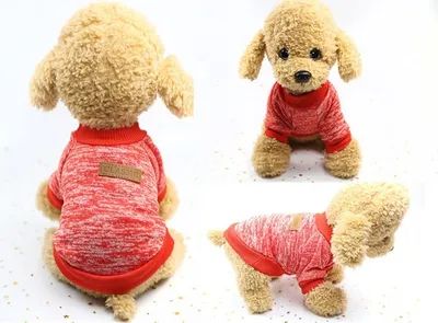 Productafbeelding van Hondensweatshirt - Rood, maat S