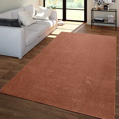 A living room scene with a white sofa and a brown rug.
