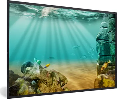 Produktbild von MuchoWow® MuchoWow® Gerahmtes Poster Meer - Fisch - Wasser 90x60 cm - Poster mit zchwarzem Bilderrahmen - Fotorahmen - Foto-Plakat