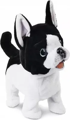 Immagine prodotto di Cane al guinzaglio