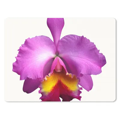 Produktbild von MuchoWow® Mauspad Mousepad Nahaufnahme Orchidee 23x19 cm - Mousepads - Maus Mat - Pad - Mausunterlage - Schreibtischunterlage - Mauspad