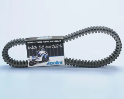 Obrázok produktu pre Zosilnený Polyamidový hnací remeň POLINI