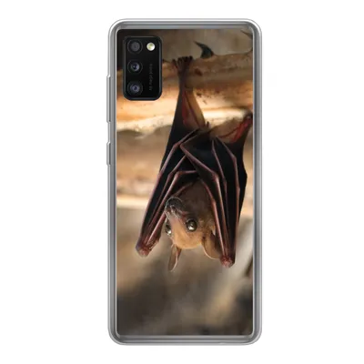 Produktbild von MuchoWow® Handyhülle Schutzhülle Hülle für Samsung Galaxy A41 Baby - Fledermaus - Holz Silikon Softcase Handy Hülle - Mobiltelefon