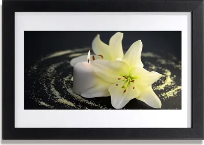 Produktbild von Bild 30x20 MDF-Rahmen Wandkunst Natur Blume Pflanze