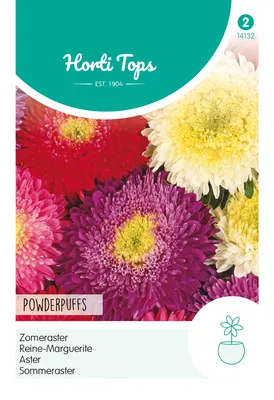 Productafbeelding van Sommeraster Powderpuffs | Astersamen van Hortitops [THT 07/2024]