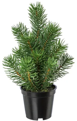 Produktbild von Künstliches Tannenbäumchen im Topf, Tischdeko, Winterdeko, 22cm