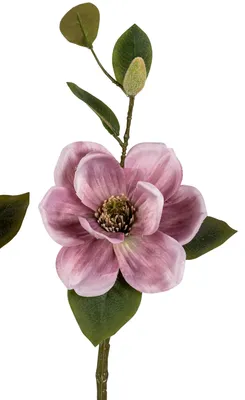 Produktbild von künstliche Magnolie rosa H. 46cm Formano Kunstblumen H25