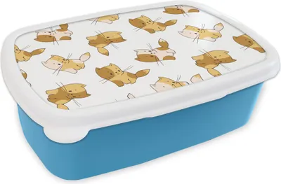 Produktbild von KitchenYeah® Lunchbox Brotzeit Brotdose 17x11 cm Muster - Katze - Kätzchen - Jungen - Mädchen - Kinder - Kind Kinder Brotzeitdose - Lunch - Kunststoff  - Brotbüchse - Sandwichbox - Lunchbox für Kinder