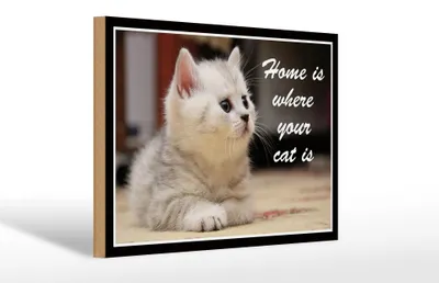 Produktbild von Holzschild Spruch 30x20cm Katze Home is where your cat