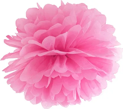 Produktbild von Papier Pompon Fuchsia Hängedeko 25 cm - Einheitsgröße